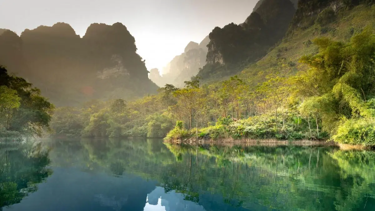 高标准可靠性先进